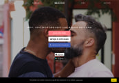 Gaydar